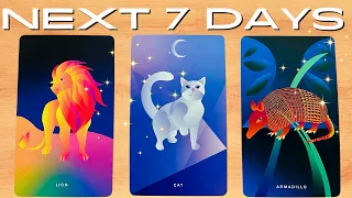 🌟 🙏 Pick A Card 《 Next 7 Days, What Will Be Revealed 》Weekly Tarot  Reading 🌟