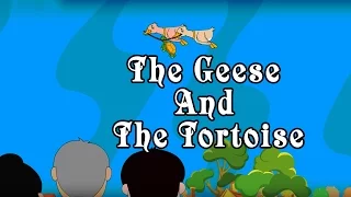 The Geese And The Tortoise | Cartoon Animated Stories For Kids | Kids Classroom