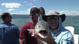 Catching Lake and Bull Trout on Flathead Lake