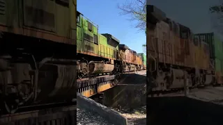 Guess The Heritage Locomotive!  Norfolk Southern Train In Ohio, JawTooth #shorts