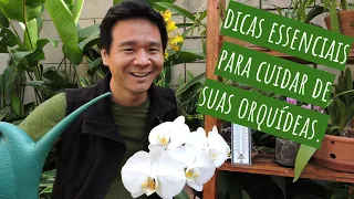 5 Segredos para ter sucesso com as ORQUÍDEAS.