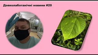 Довколаботанічні новини 20.  Гігантське жалюче дерево, сліди динозавра та колібрі