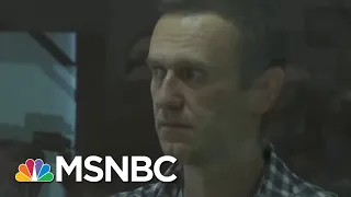 Alexei Navalny's Instagram Account Posts Photo From Russian Prison Camp | Ayman Mohyeldin | MSNBC