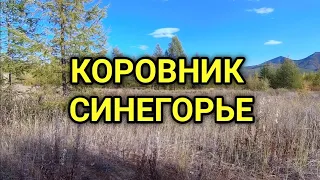 Что осталось от коровника в Синегорье.