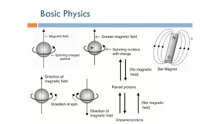 Short Topics in Magnetic Resonance Imaging: Proton Dynamics (Arabic Narration)