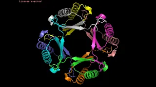 ColabFold - Making protein folding accessible to all via Google Colab!
