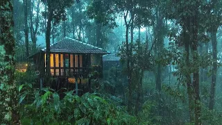 Relaxing Rain in the Misty Forest to Sleep in 5 Minutes - Sounds of Rain and Thunderstorm