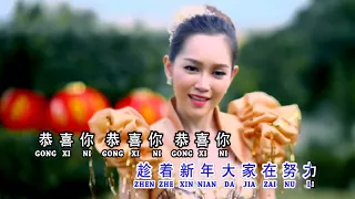 Wan Shi Ru Yi 万事如意  CNY 2018 [Karaoke Version]