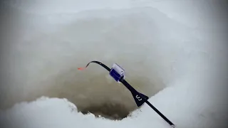 ЗИМНЯЯ РЫБАЛКА. В ГЛУХОЗИМИЕ. ОТПУСТИЛ МОРМЫШКУ В КОРЯГУ. Рыба загибает кивок.