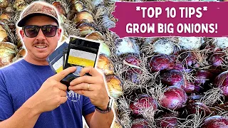 TOP 10 ONION TIPS | How to Grow Big Onions!
