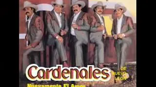 Nuevamente el Amor Los Cardenales de Nuevo León