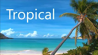 Tropical Beach Music with Beautiful Ocean Beach Views | Happy and Uplifting  🌴🍓 Musica de tropical🌴🍓