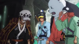 One Piece - Bepo “Captain” funny moment