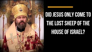 Metropolitan Hilarion: WHO DID JESUS COME TO?