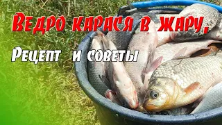 Как ловить много карася. Делюсь опытом.