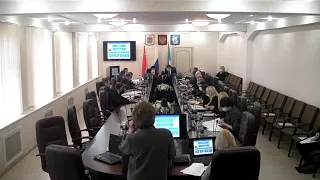 05.11.2020. Прямая трансляция публичных слушаний по проекту бюджета на 2021 г.