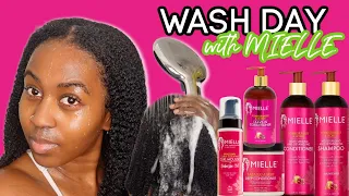 FULL WASH DAY ROUTINE WITH MIELLE ORGANICS | From Start to Finish | Rayanne Samantha