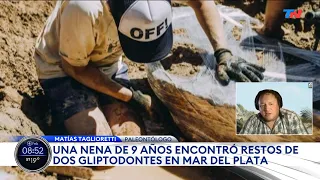 MAR DEL PLATA I Una nena encontró restos de dos glipyodontes mientras jugaba en la playa