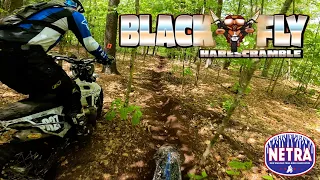 CATRA Black Fly Netra Hare Scramble 2023