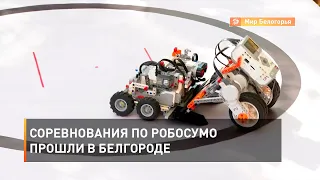 Соревнования по робосумо прошли в Белгороде