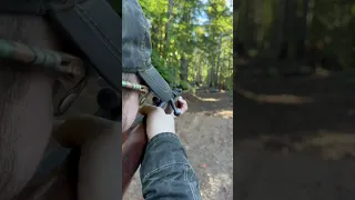 Shooting the Springfield M1903 #shorts