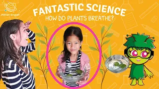 Science Experiments | How Plants Breathe