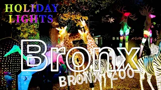 Bronx, New York【Bronx Zoo Holiday Lights】November 27, 2021 Walking Tour【4K】