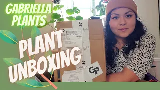 Plant Unboxing🪴First Plant Mail 2021