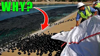 🤔 Why Are 96 Million Black Balls On This Reservoir? #education #trending #technology