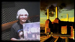 Pink Floyd "Animals" 1977 (contraste de las ediciones mexicana y gringa)