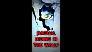 NAGUAL hiding in the wall?  #scary #trending #creepy #viral