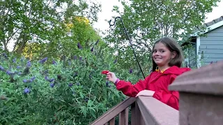 Little Girl is a Hummingbird Whisperer || ViralHog