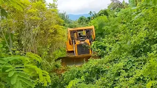 Skilled D6R XL Bulldozer Operator Repairing Forest Road to Plantation