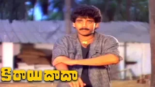 Nagarjuna Full Action || Kirayi Dada Telugu || Nagarjuna, Amala, Khusboo, Jayasudha