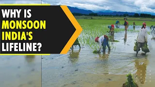 Why is India's monsoon season so crucial? | WION Originals
