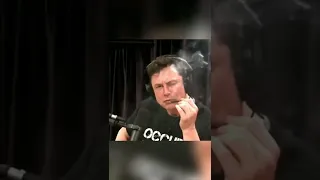 ELON MUSK SMOKING WEED AT JOE ROGAN PODCAST 😂🌿🚀