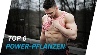 Top 6 POWER Pflanzen 🌽 VEGANE Proteinquellen (Pflanzliches Eiweiß) | Andiletics