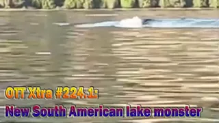 OTT Xtra #224.1: A new video of a South American lake monster