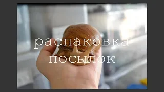 ЛЕТНЯЯ РАСПАКОВКА ПОСЫЛОК