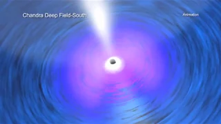 A Tour of Black Hole Growth in Chandra Deep Field South