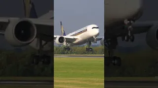 Singapore Airlines A350-900 graceful landing at Manchester Airport #shorts