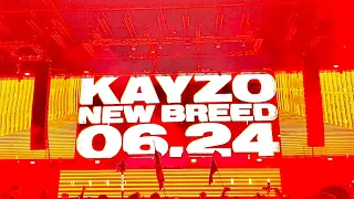 KAYZO  EDC 2022