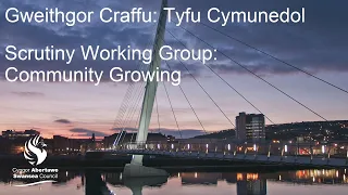 Swansea Council - Scrutiny Working Group: Community Growing  13 May 2024