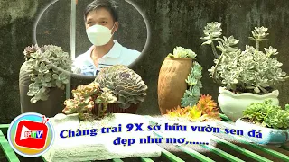 Vườn sen đá cực "khủng" với 200 loài độc lạ của chàng trai 9X |BPTV