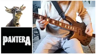 Pantera - Drag The Waters (bass cover)