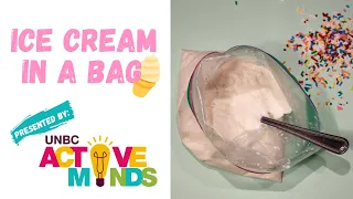 Ice Cream in a Bag - STEM at Home!