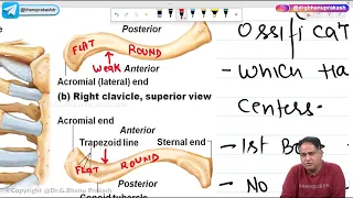 Upper Limb Fractures (Hindi) | Orthopedic Lectures by Dr Nitin Bhagat