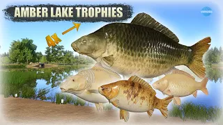 Russian Fishing 4 RF4 A good compilation for trophy carp fishing