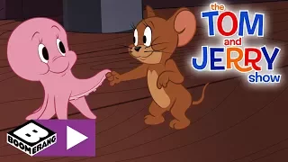 The Tom and Jerry Show | Baby Octopus On The Loose | Boomerang UK