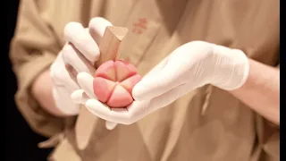 Beautiful !! Japanese traditional sweets "WAGASHI" in Tokyo.Live cooking !